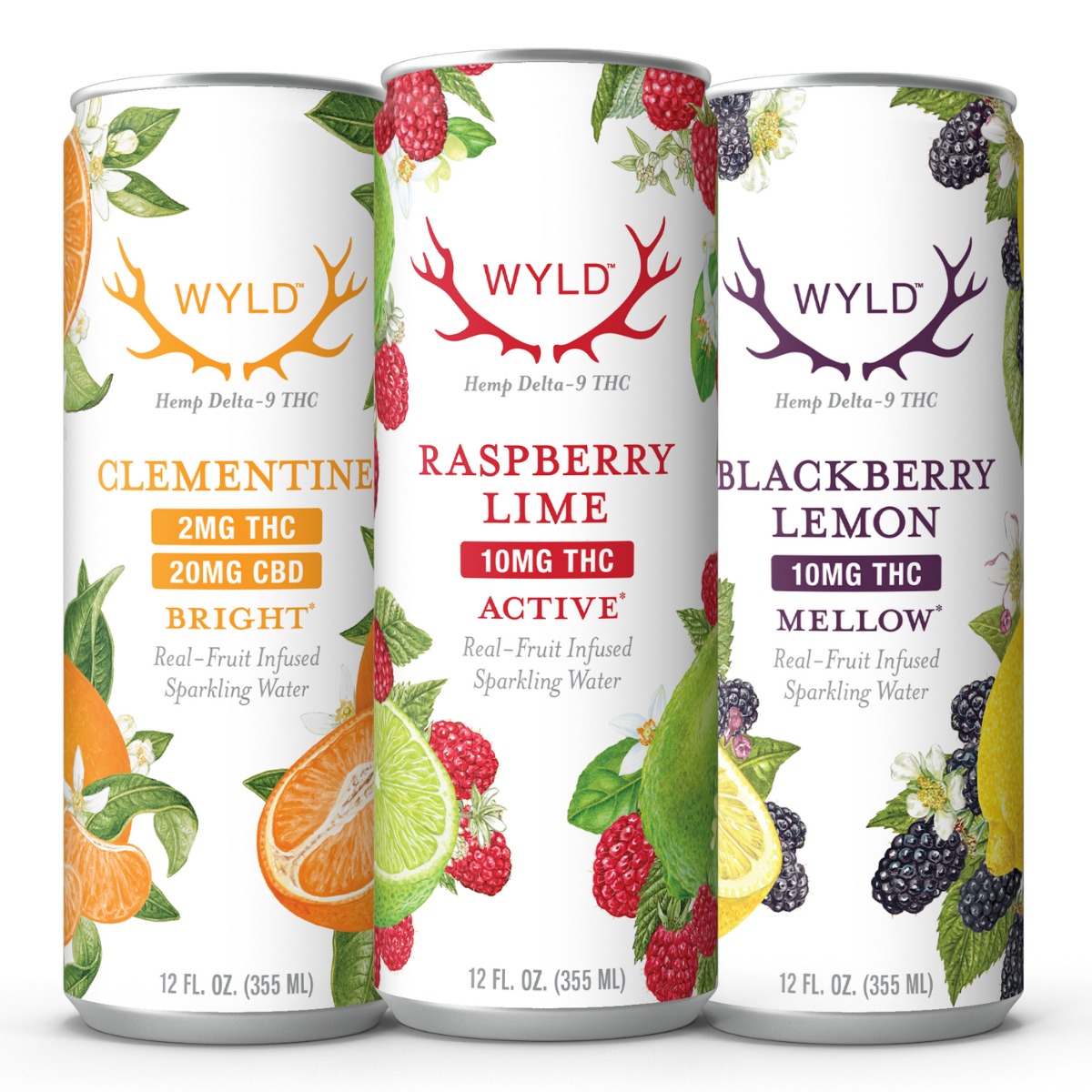 Wyld THC & CBD Sparkling Water Custom Box creative with 12 or 24-Pack options.