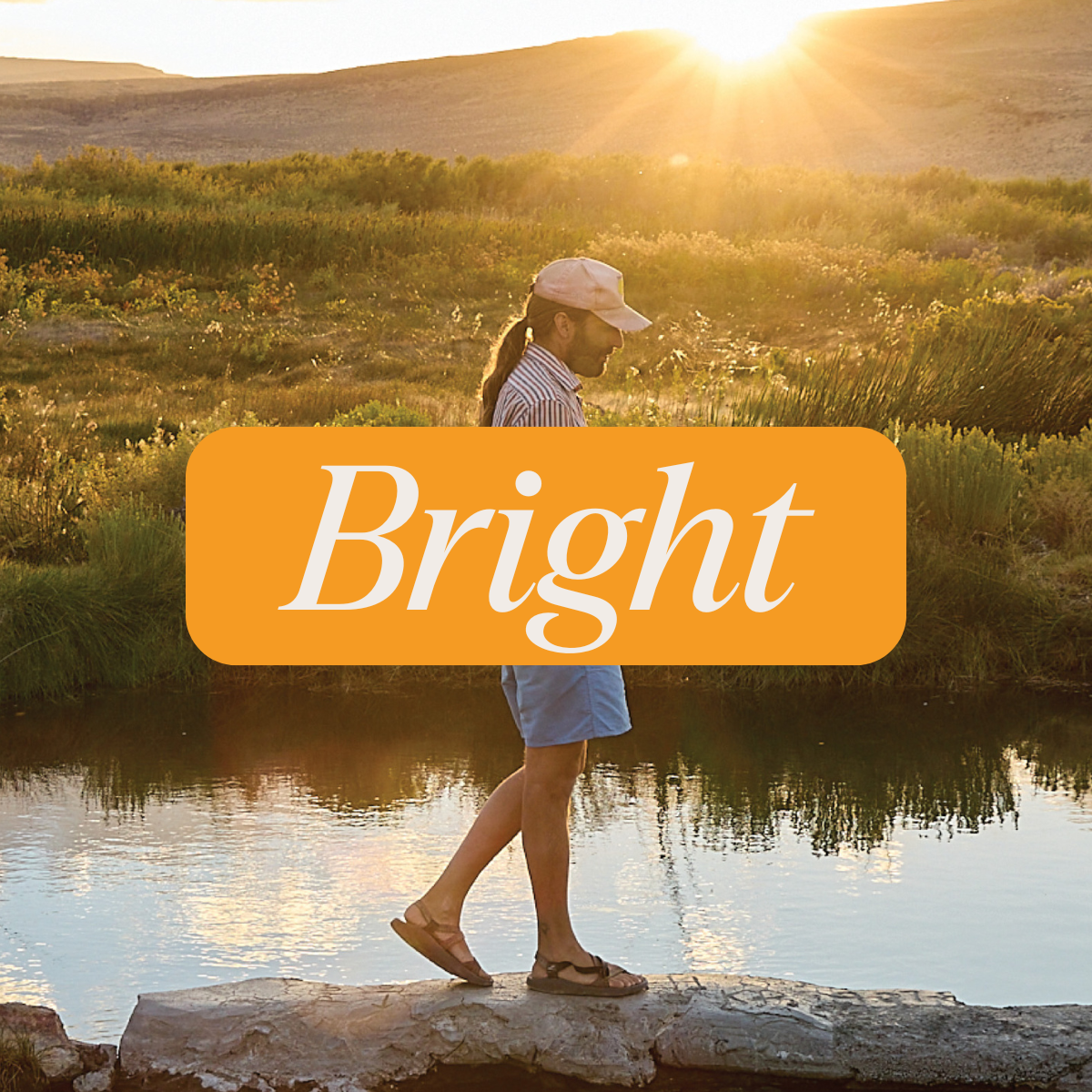 Low-Dose Clementine CBD:THC Sparkling Water | Bright