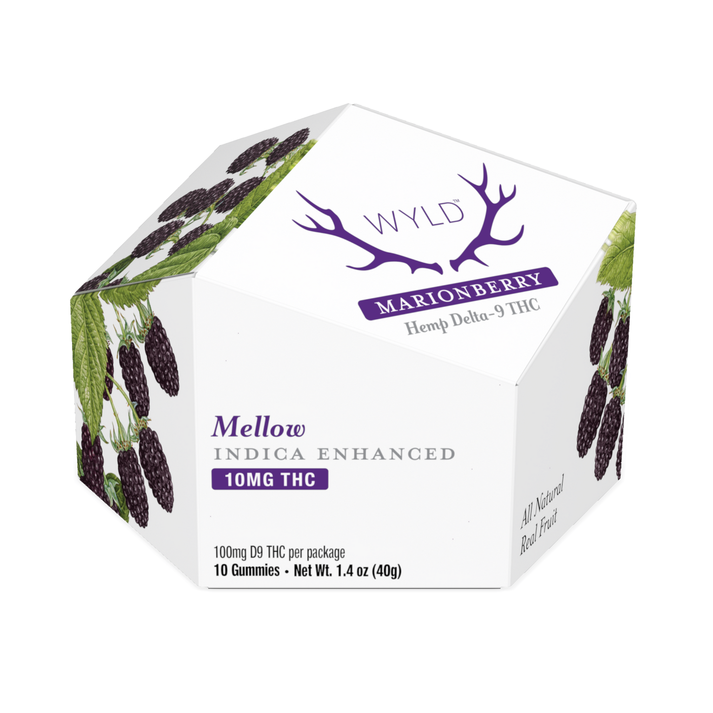 Wyld Marionberry Hemp Delta-9 THC Gummies in a 10 gummy container.