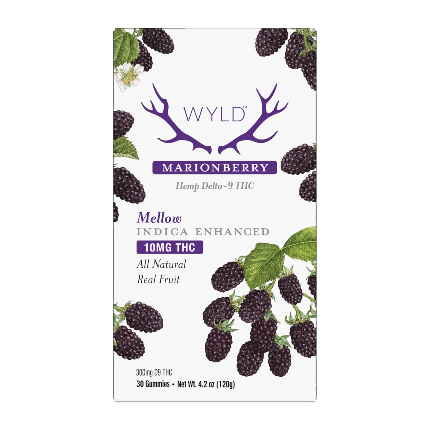 Wyld Marionberry Hemp D9 Gummy Package containing 30 gummies.