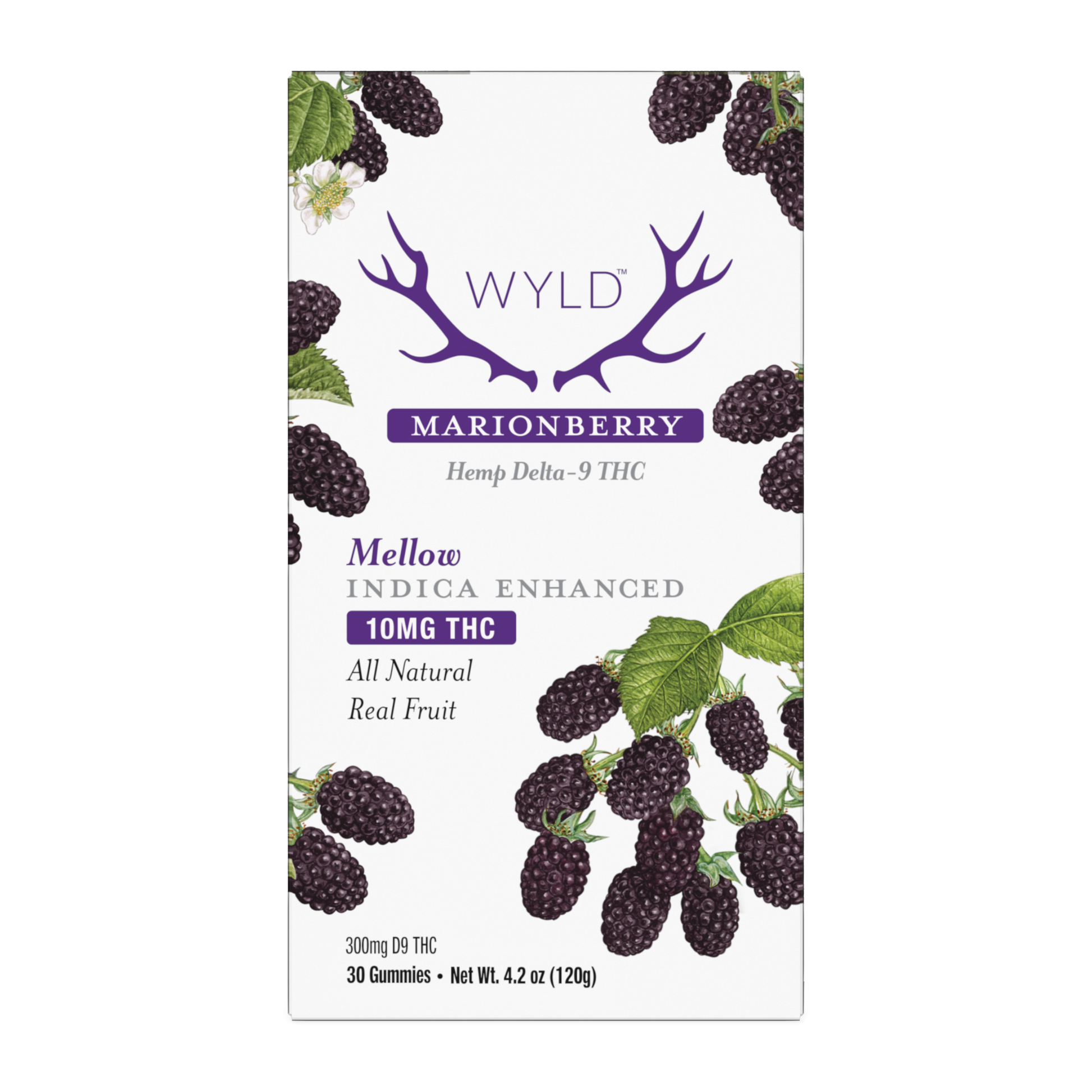 Wyld Marionberry Hemp D9 Gummy Package containing 30 gummies.