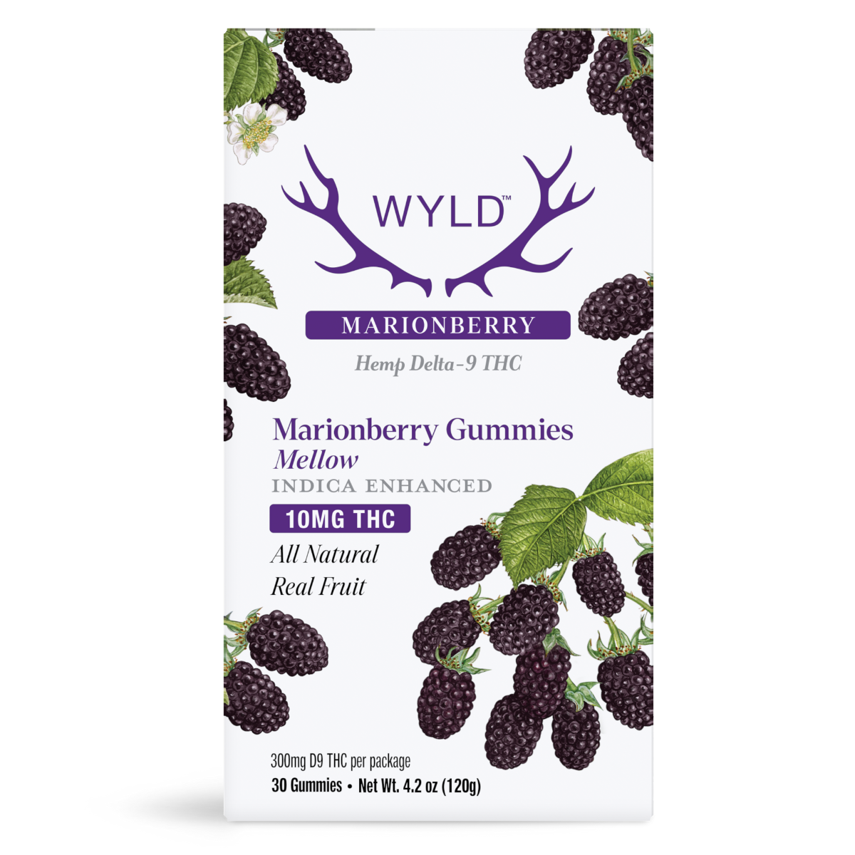 Marionberry Indica THC | Mellow