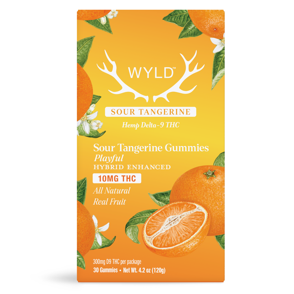 Wyld Sour Tangerine Gummies 30-count container with bright citrus-themed packaging, real fruit illustration, and product details including 10MG hemp-derived Delta-9 THC and playful hybrid terpene effects.