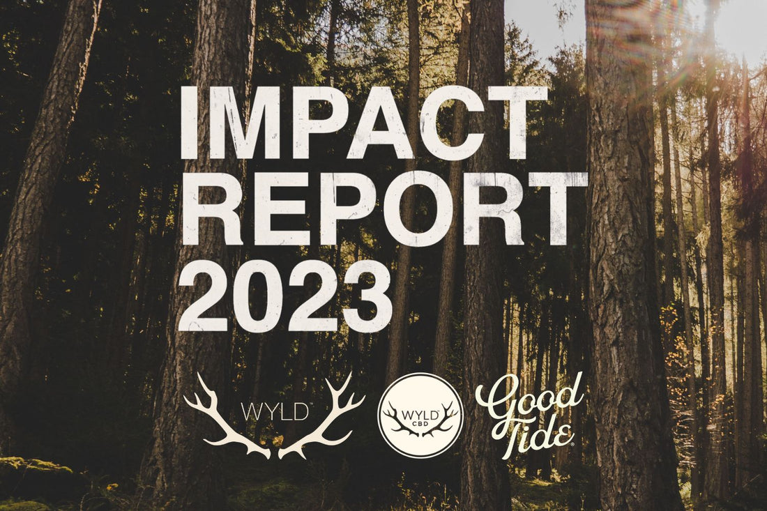 2023 Impact Report