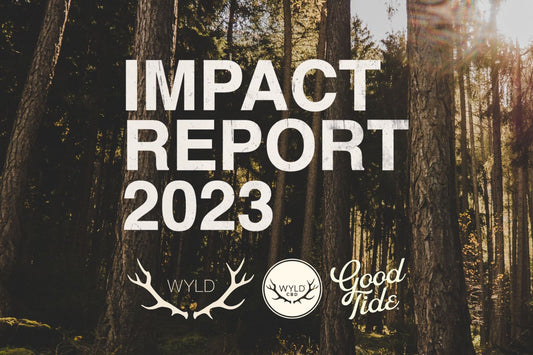 2023 Impact Report