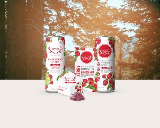 Wyld raspberry lime CBD gummies and sparkling water cans displayed in a forest setting