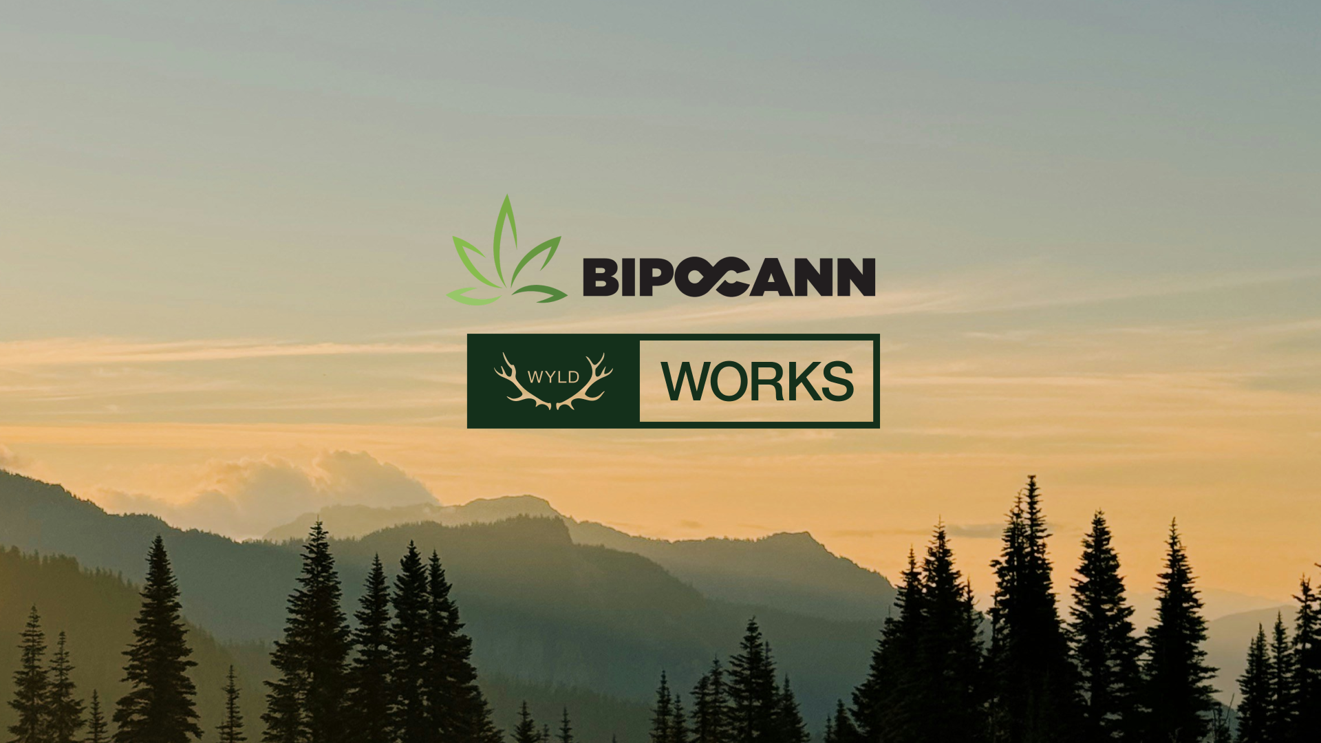 BIPOCann and Wyld Works logos displayed over a mountain forest landscape at sunset.