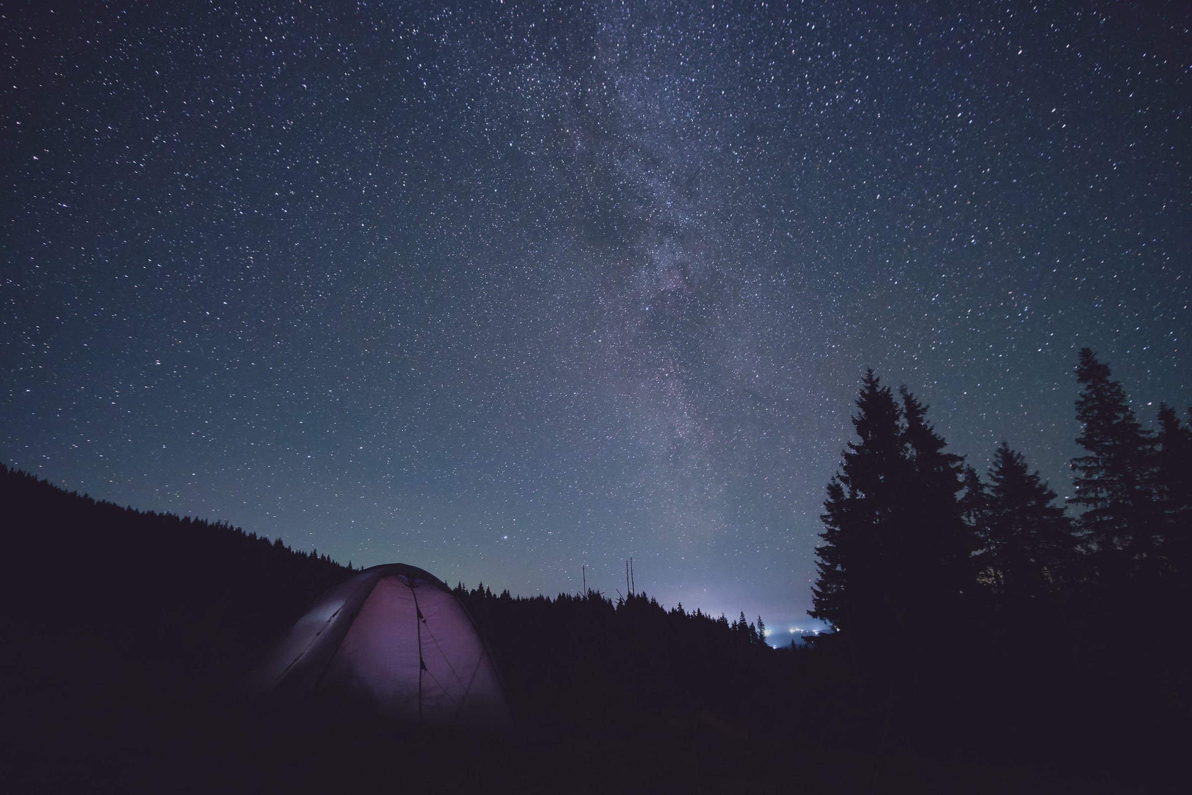 The Best THC Gummies for Sleep | Wyld Elderberry