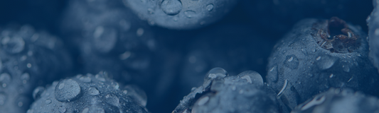 DHB0012 | Huckleberry