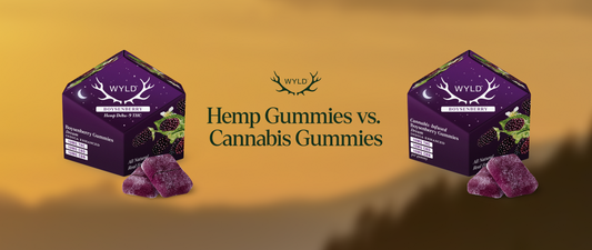 "Hemp Gummies vs. Cannabis Gummies" header graphic with two WYLD Boysenberry gummy boxes flanking the title on a warm gradient background.