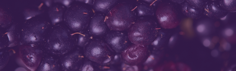 D9 MB B22 | Marionberry