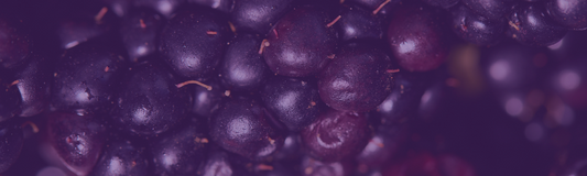 DMB0011 | Marionberry