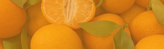 DTAN0002 | Tangerine