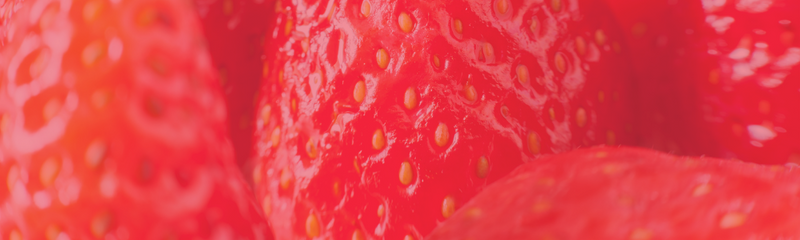 WW SB B12 | Strawberry