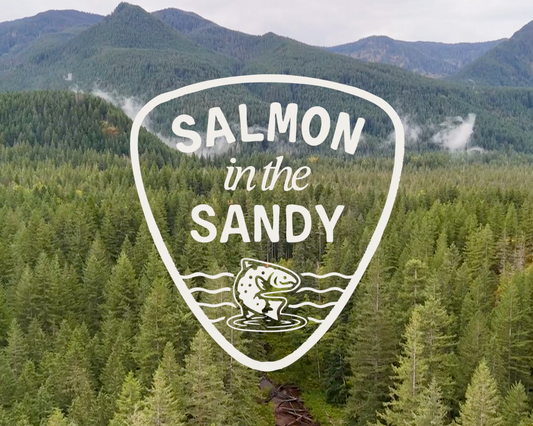 Salmon in the Sandy | Wyld Works x The Freshwater Trust
