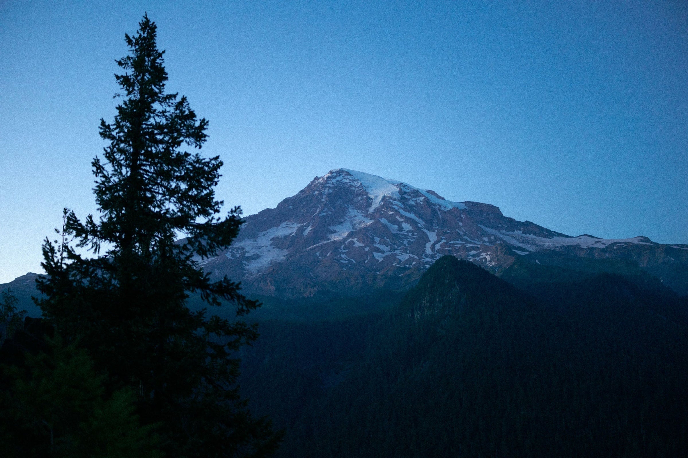 Mountain with tree in the foreground