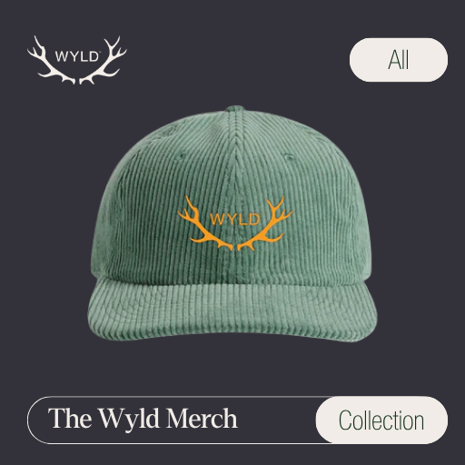 Merch Collection | Limited Edition Tees, Hats, Stickers & More