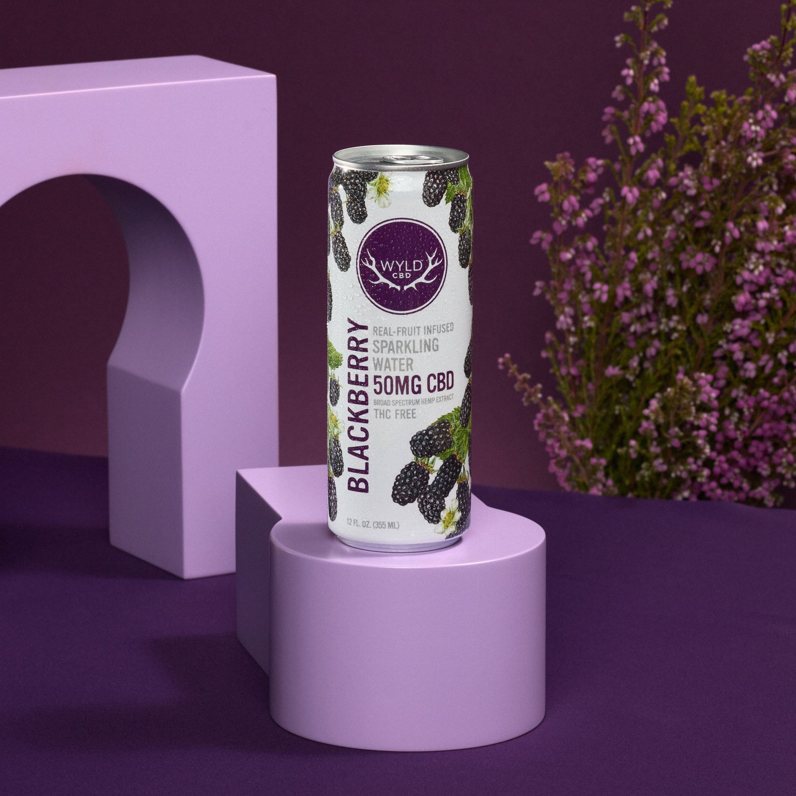 Blackberry CBD Sparkling Water | CBD-Only