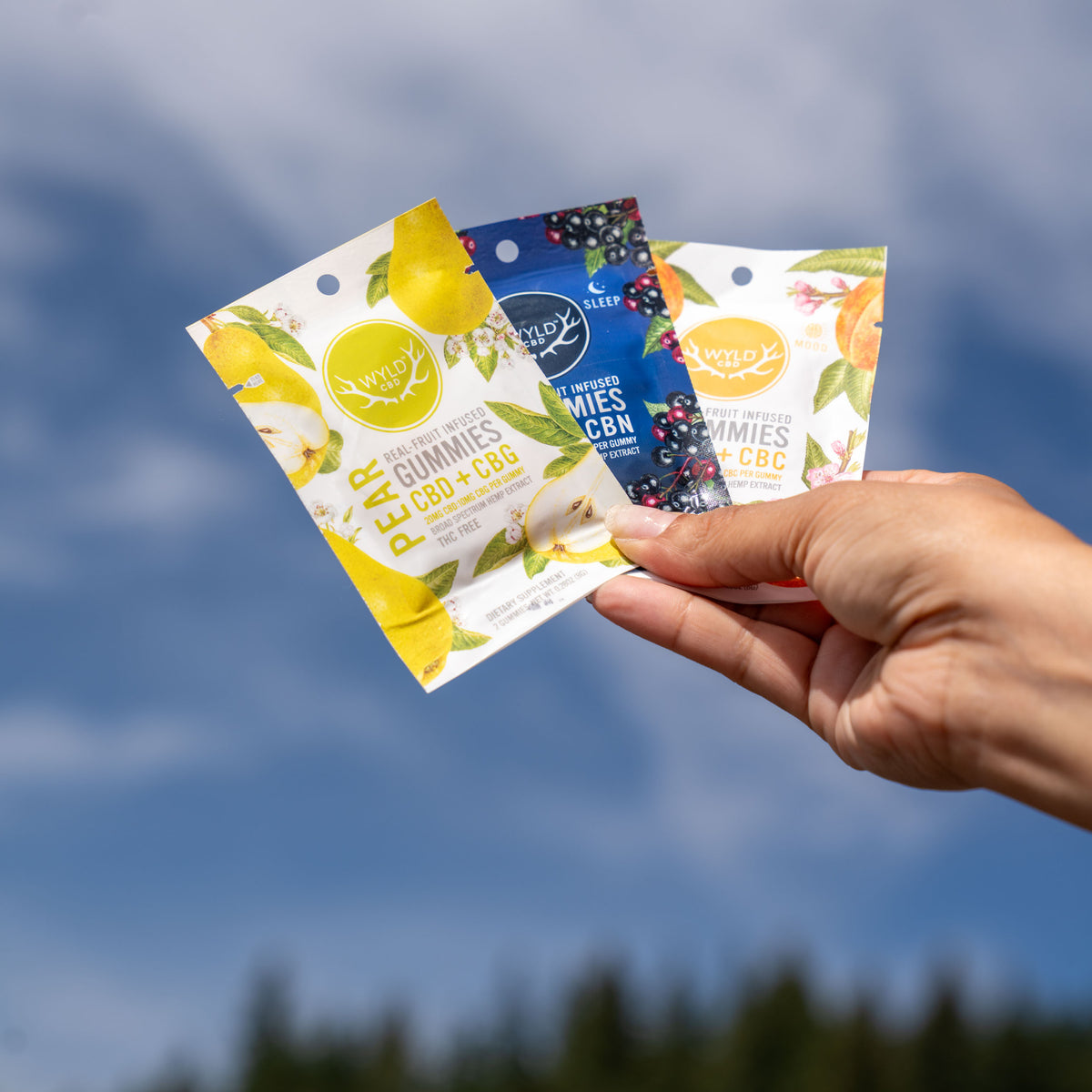Huckleberry CBD Gummies | 2-Pack
