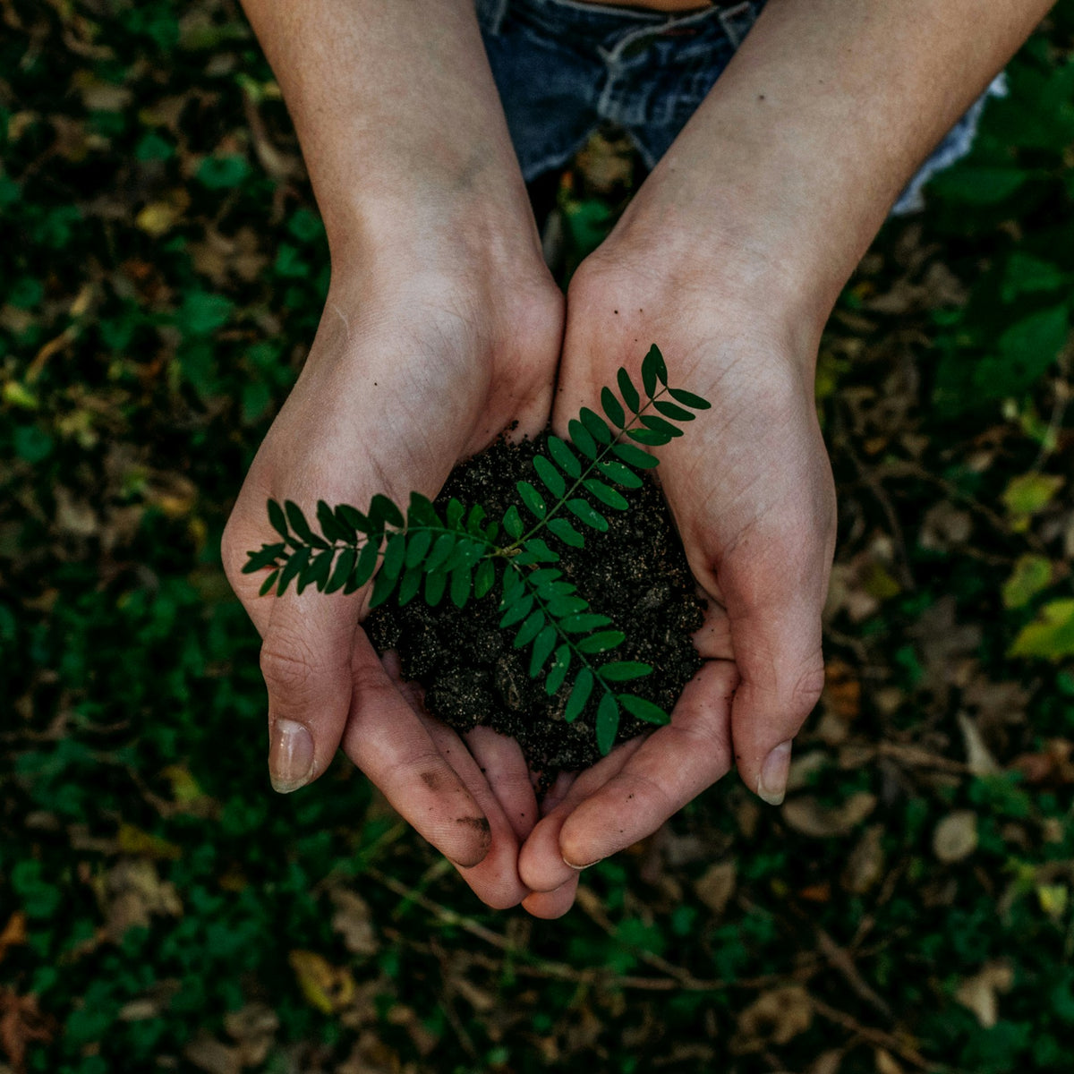 Environmental Sustainability