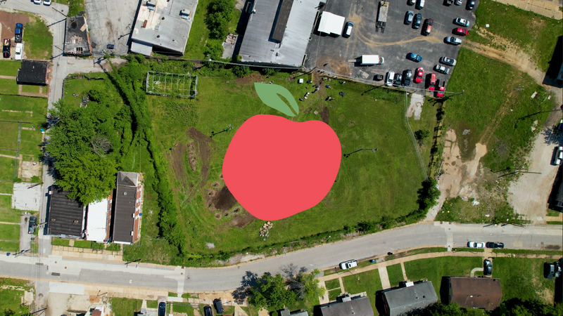 Wyld's Partnership with The Giving Grove