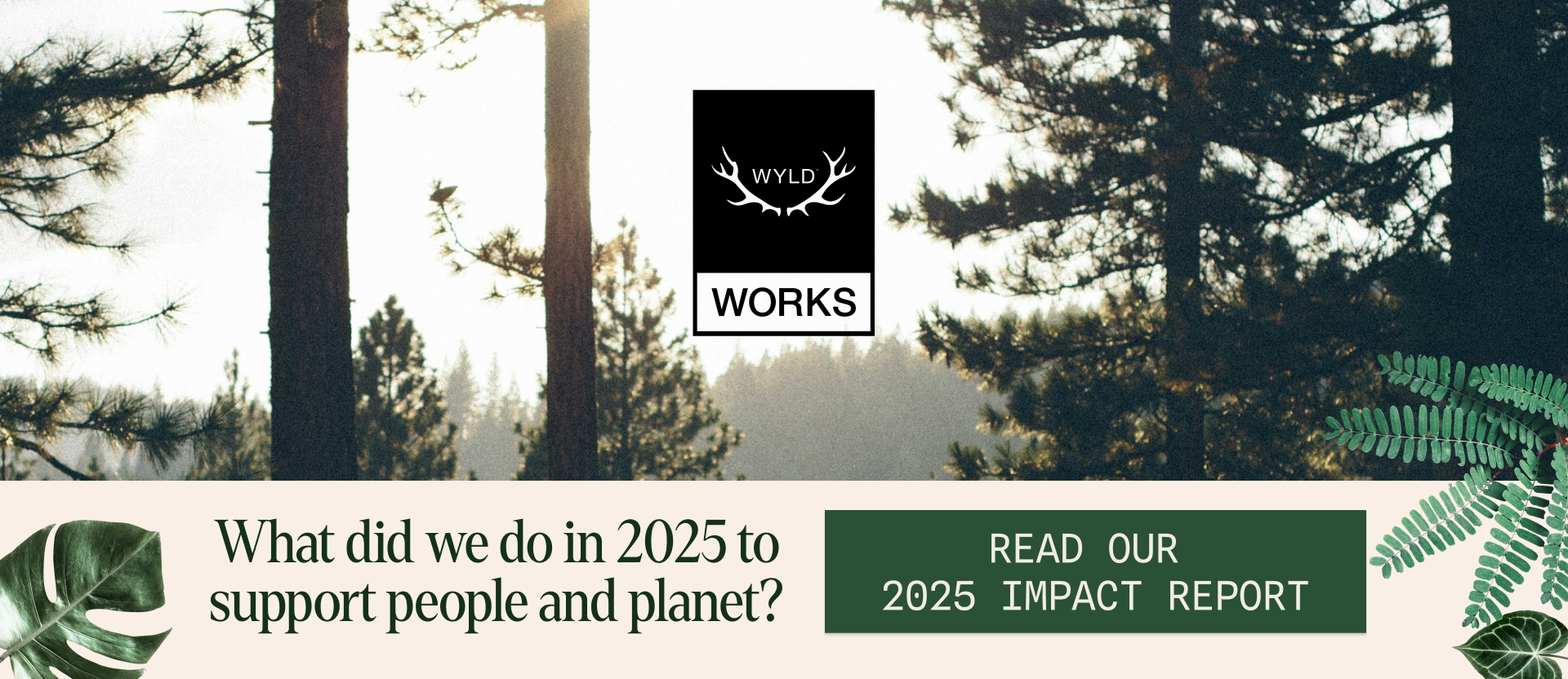 Wyld Works logo over a forest landscape with text reading ‘What did we do in 2025 to support people and planet?’ and ‘Read our 2025 Impact Report.’