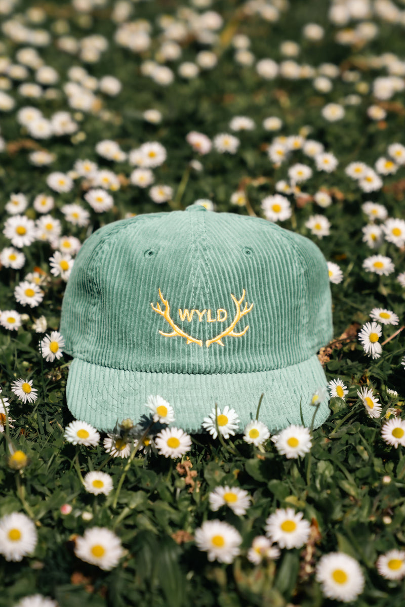 Merch