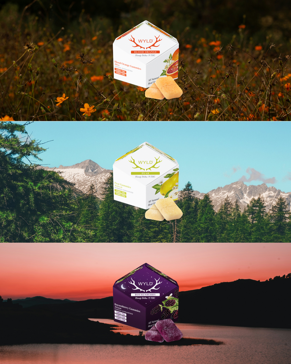 Shop Wyld Hemp | Quality THC Gummies & Sparkling Waters Shop Wyld Hemp | Quality THC Gummies & Sparkling Waters