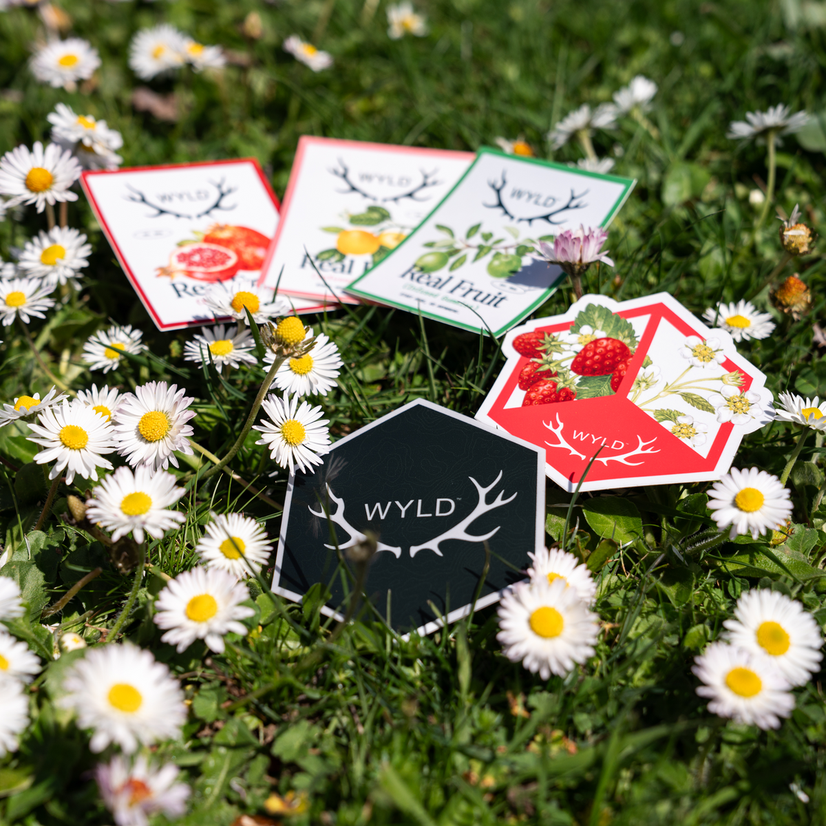 Wyld Sticker Pack
