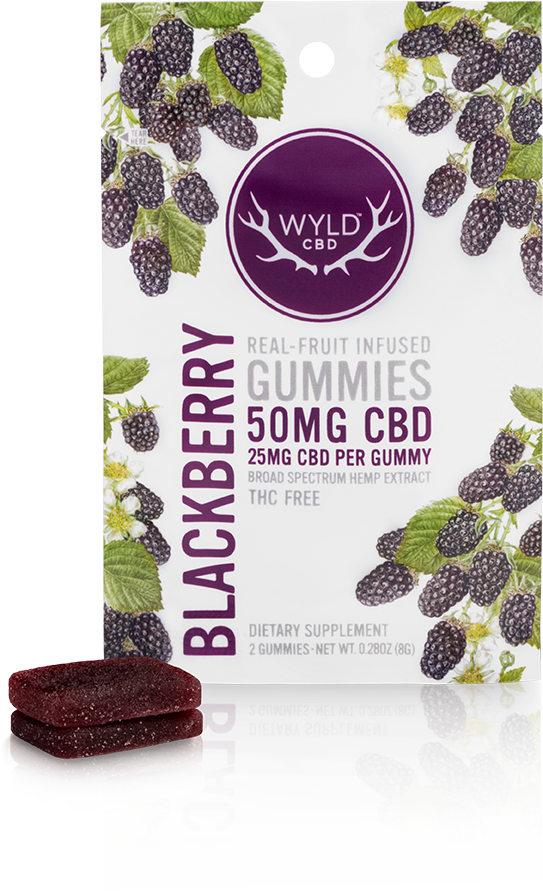 Blackberry CBD Gummies | 2-Pack
