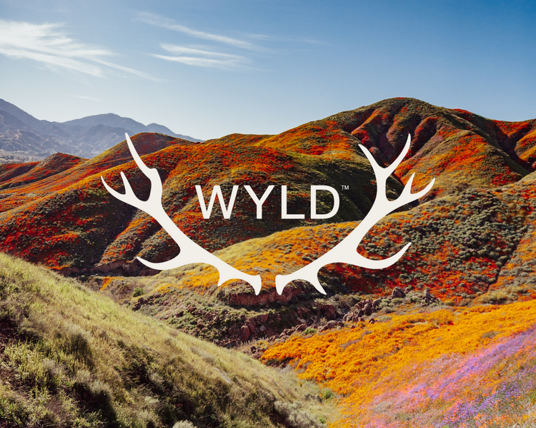 Meet The Wyld Brand Family